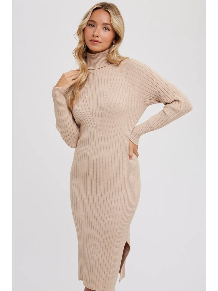 Tara Turtleneck Ribbed Sweater Dress