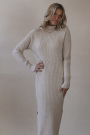 Tara Turtleneck Ribbed Sweater Dress