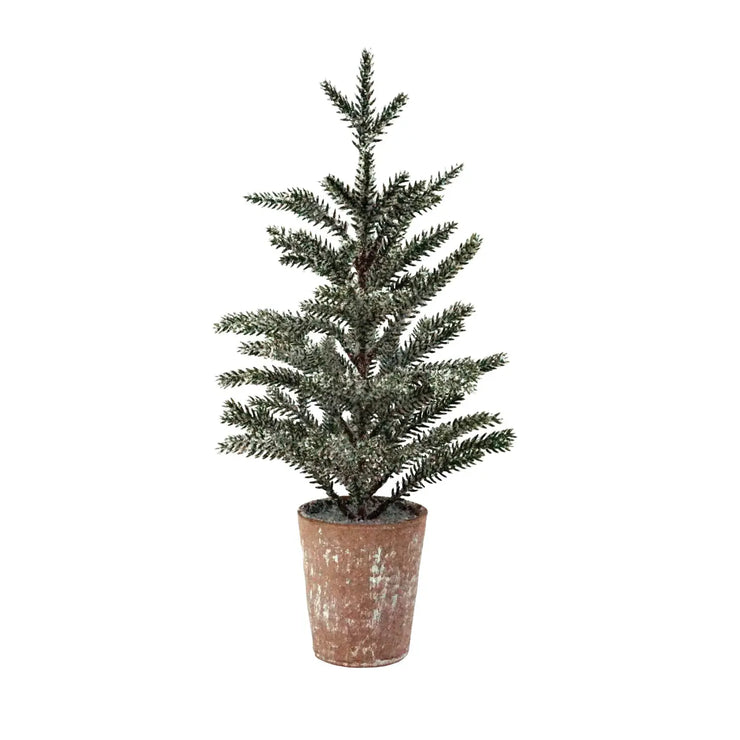Potted Pine Tree