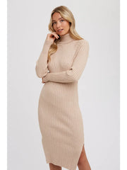 Tara Turtleneck Ribbed Sweater Dress